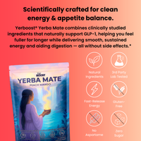 Yerba Mate Instant Tea