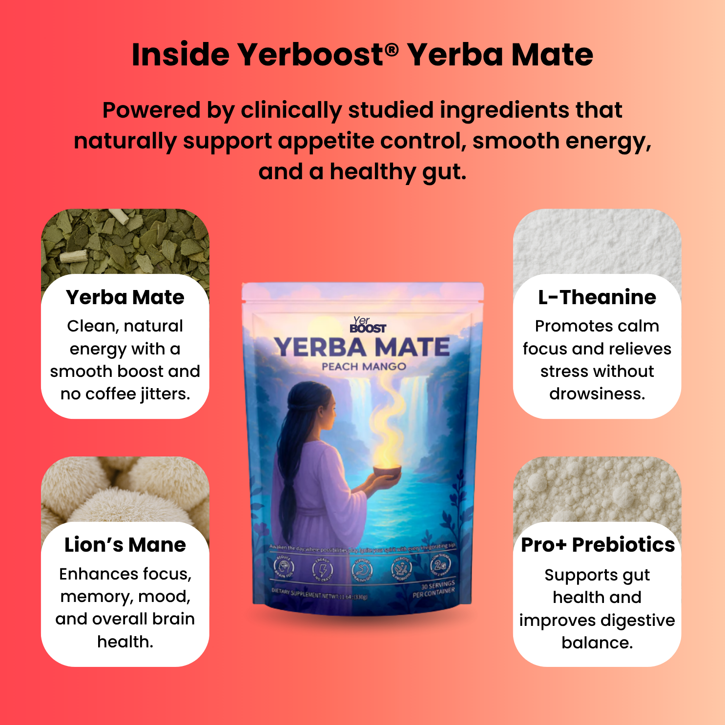 Yerba Mate Instant Tea
